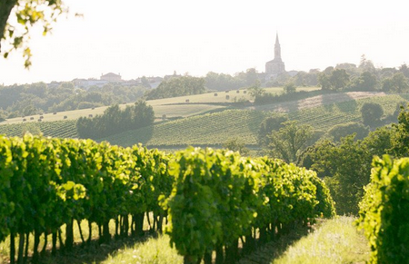 法國(guó)香檳產(chǎn)區(qū)（Champagne, France）