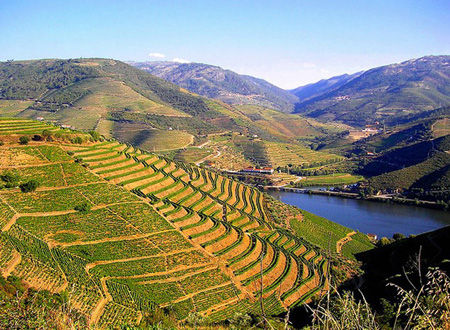 葡萄牙杜羅河（Douro，Portugal）