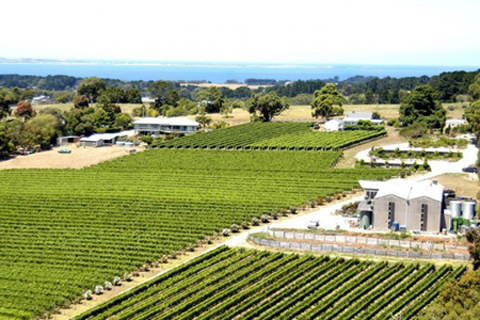 Paringa Estate，Mornington Peninsula