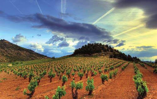 里奧哈產區(qū)（Rioja）