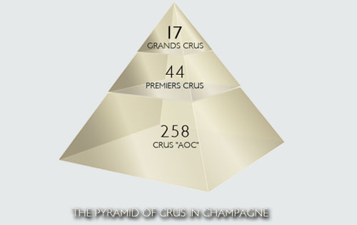 香檳產(chǎn)區(qū)（Champagne）葡萄園分級